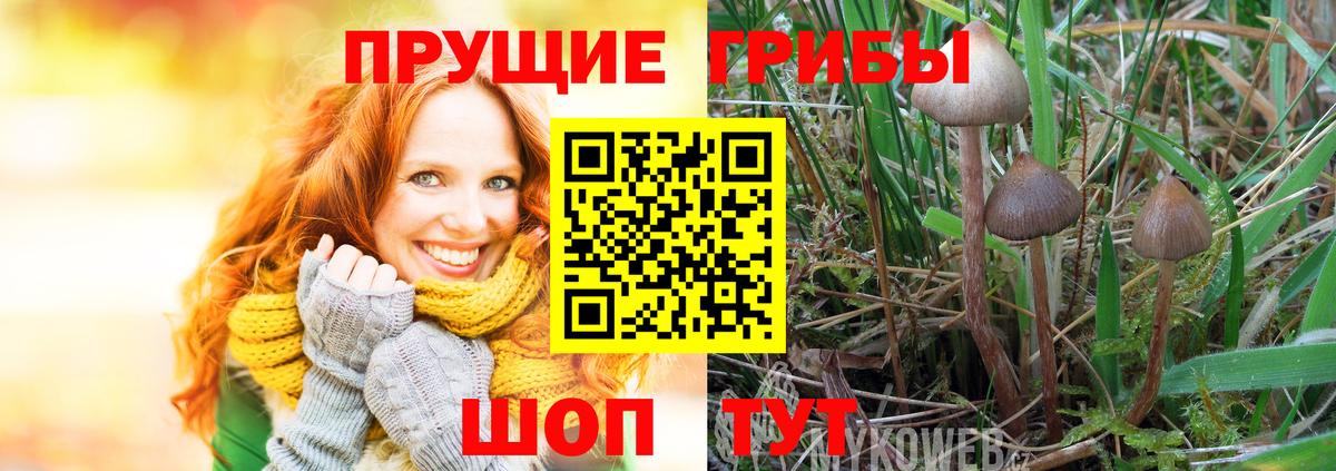 Псилоцибиновые грибы мицелий  Галлюциногенные грибы ЛСД  Вход с VPN  Электросталь 